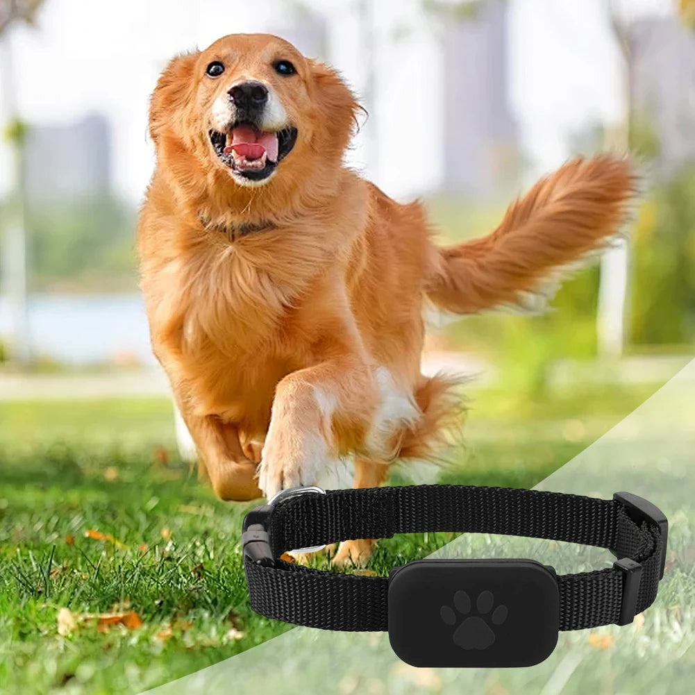 Pet GPS Tracker with Adjustable Collar, Tracker for Dogs and Cats