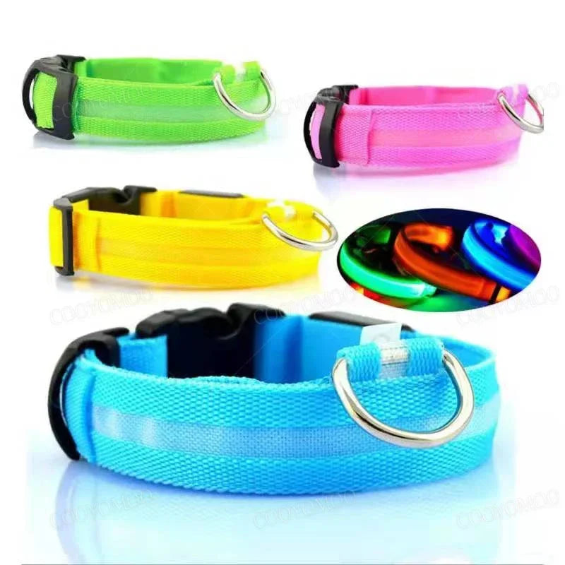 Dog Luminous Collar Cat Dogs  Night Led Glow