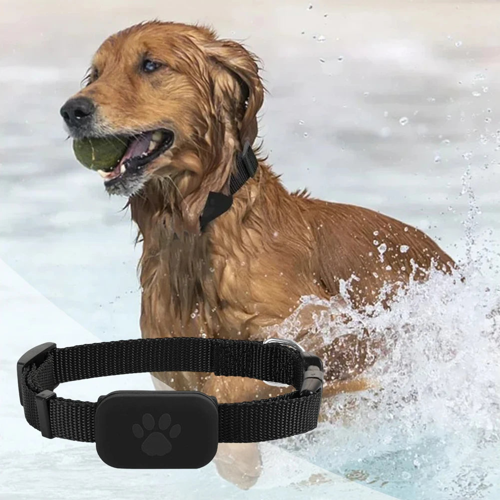 Pet GPS Tracker with Adjustable Collar Dog