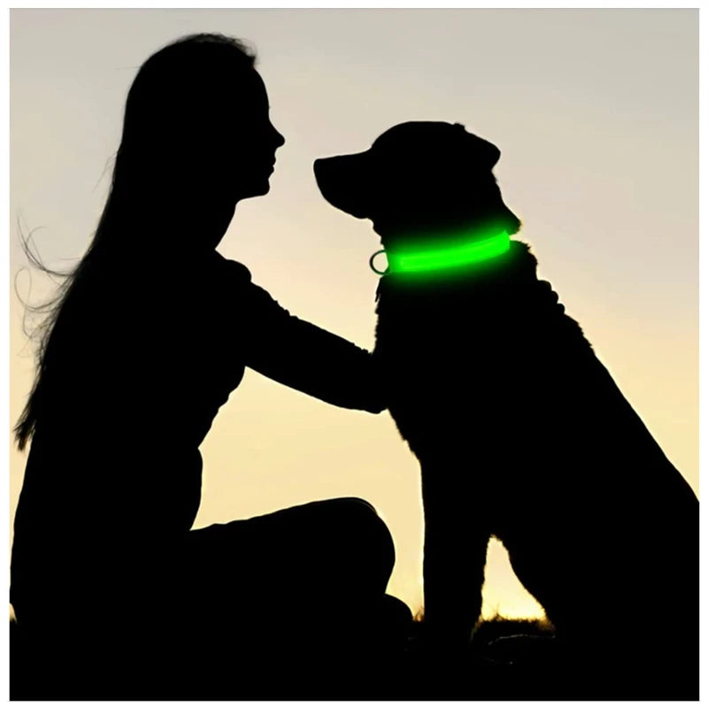 Dog Luminous Collar Cat Dogs  Night Led Glow