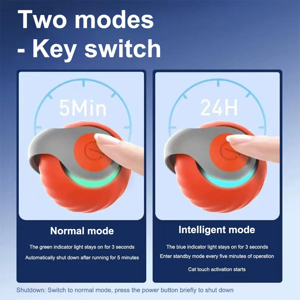 Smart interactive cat ball toy.