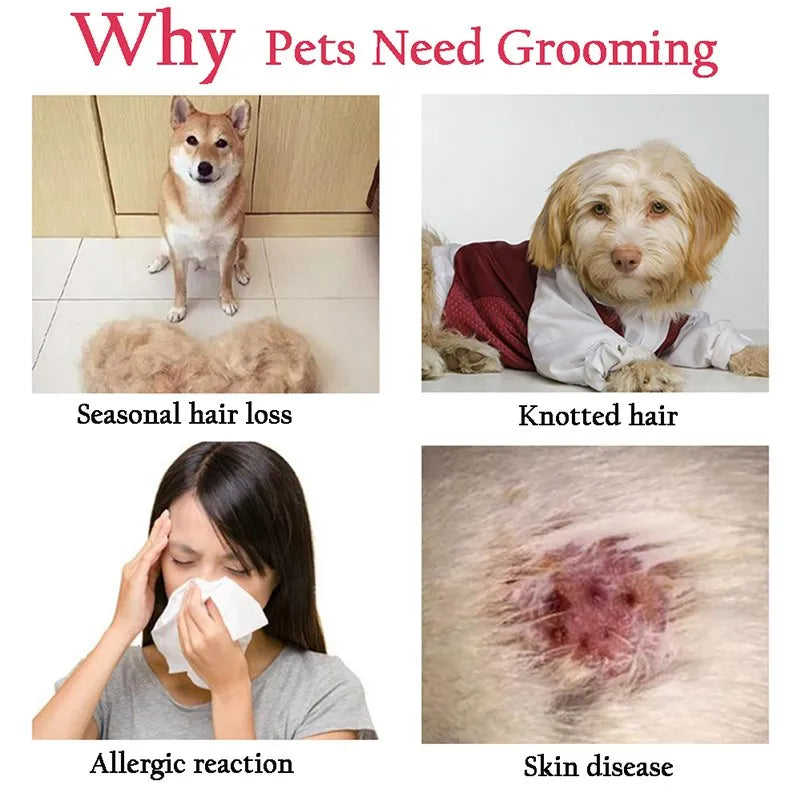 Pet Shedding Brush for Dogs & Cats