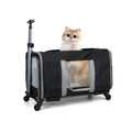 Cat trolley for 2 cats – Cat transport box large with wheels for 2 animals – Transport bag with wheels & safety belts for travel