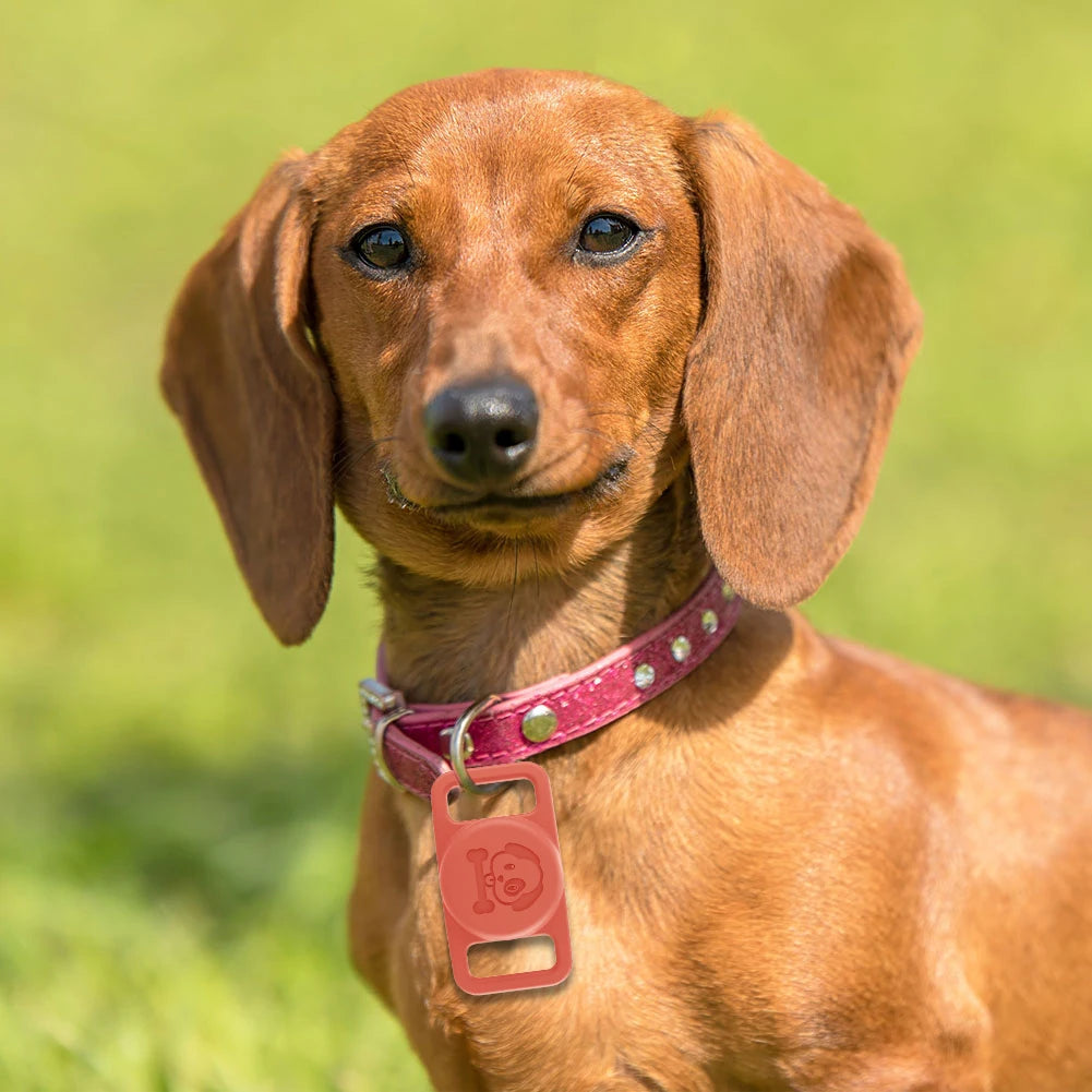 Apple Airtag waterproof Case for Dog  collar -  For 0.6-1.1inch Pet Collar