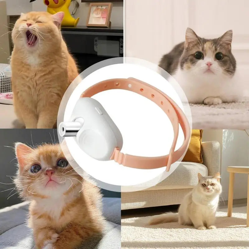 Laser Cat Collar LED Laser Cat Teasing Toy Cat Collar
