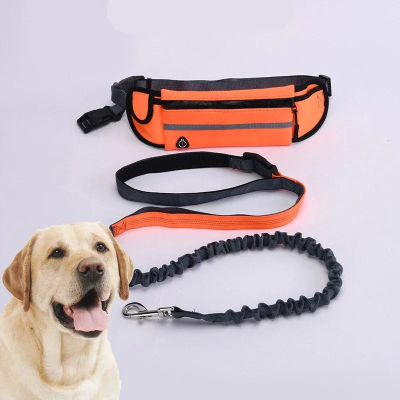 Hands Free Dog Leash for Running Walking Reflective Leash with Waist Elastic Belt Bag Retractable
