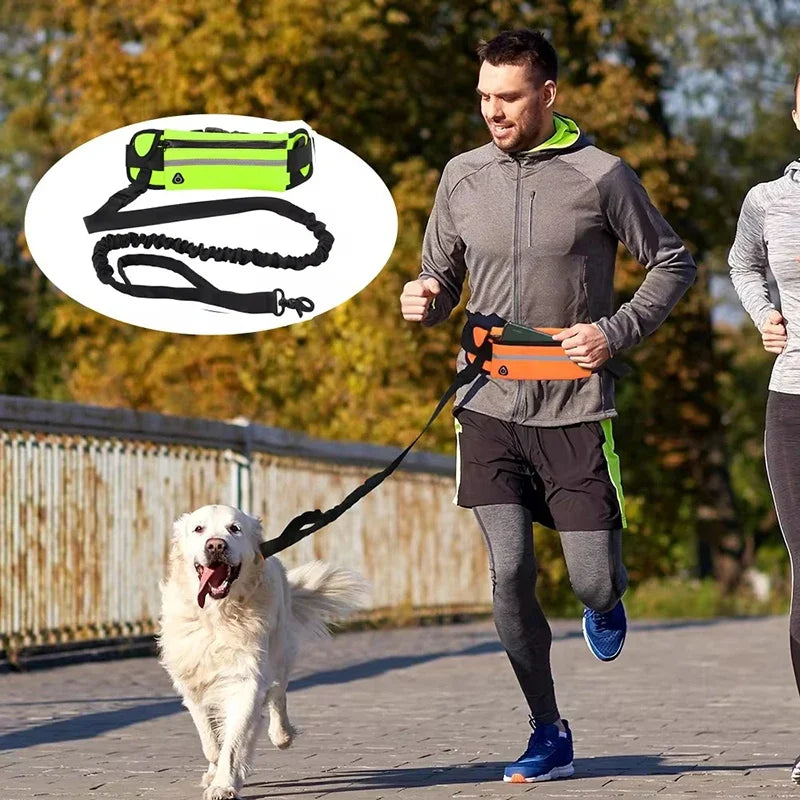 Hands Free Dog Leash for Running Walking Reflective Leash with Waist Elastic Belt Bag Retractable