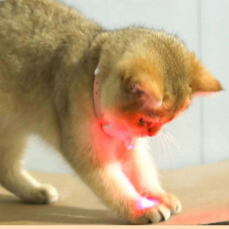 Laser Cat Collar LED Laser Cat Teasing Toy Cat Collar