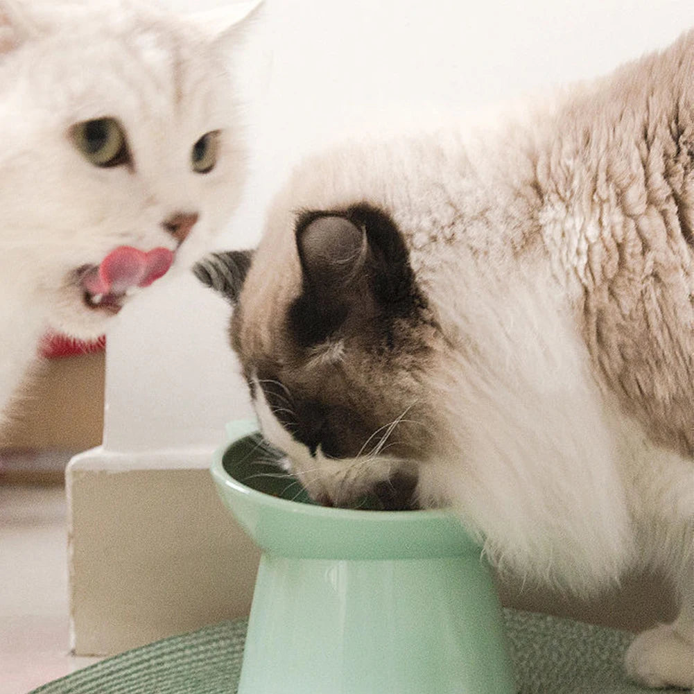 Pet Food Bowl -  Elevated / Tilted Anti Vomiting