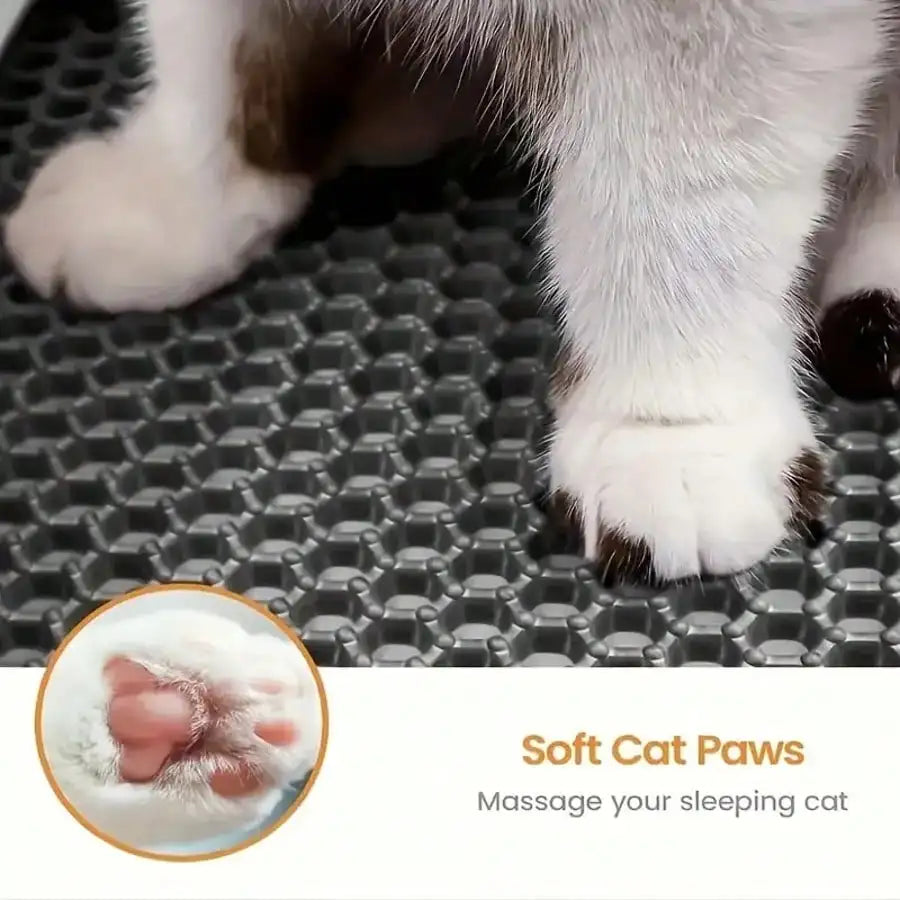 Extra-Large Double-Layer EVA Cat Litter Mat Non-Slip Washable Litter Trapping
