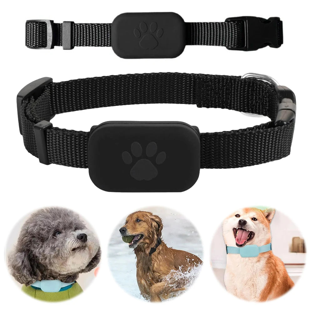 Pet GPS Tracker with Adjustable Collar Dog