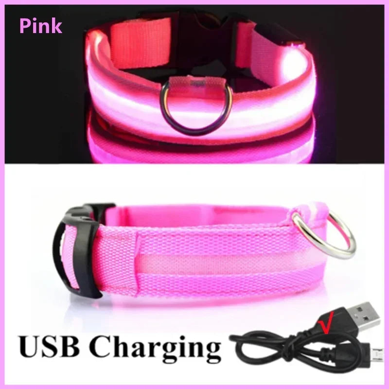 Dog Luminous Collar Cat Dogs  Night Led Glow