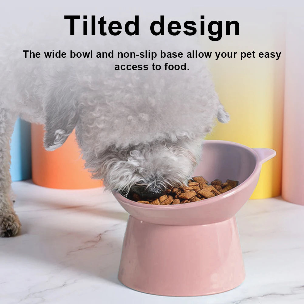 Pet Food Bowl -  Elevated / Tilted Anti Vomiting
