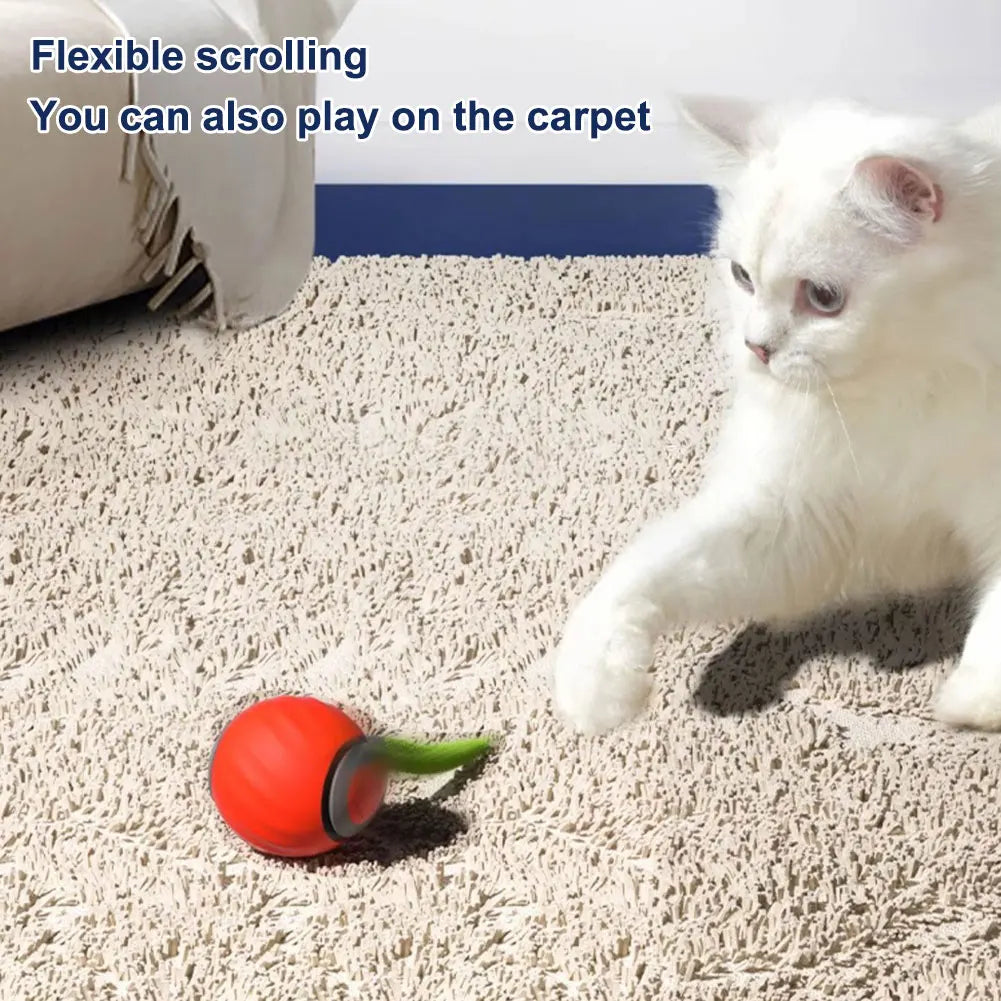 Smart interactive cat ball toy.