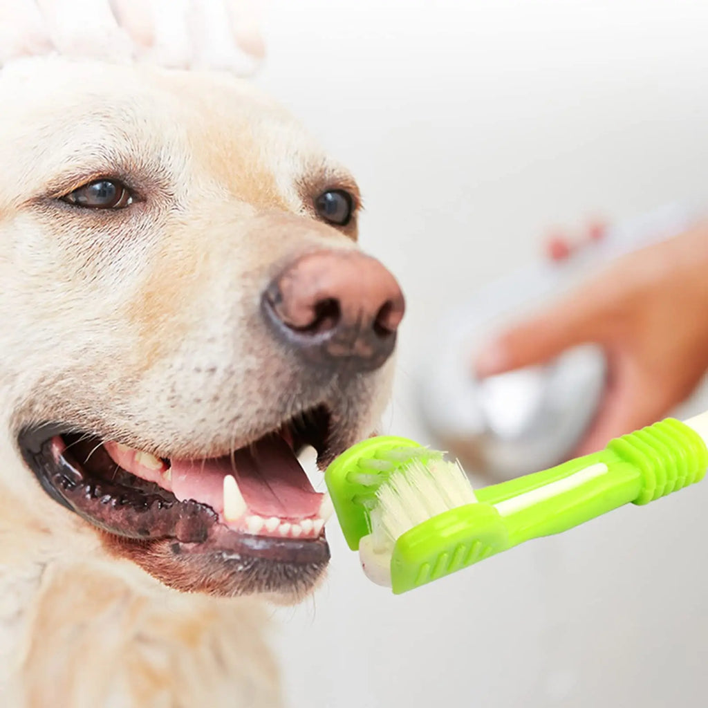 3-Sided Pet Plastic Toothbrush, fast brushing, 3 surfaces at the same time
