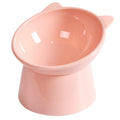 Pet Food Bowl -  Elevated / Tilted Anti Vomiting