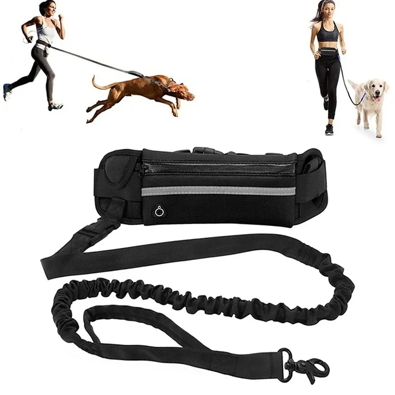 Hands Free Dog Leash for Running Walking Reflective Leash with Waist Elastic Belt Bag Retractable