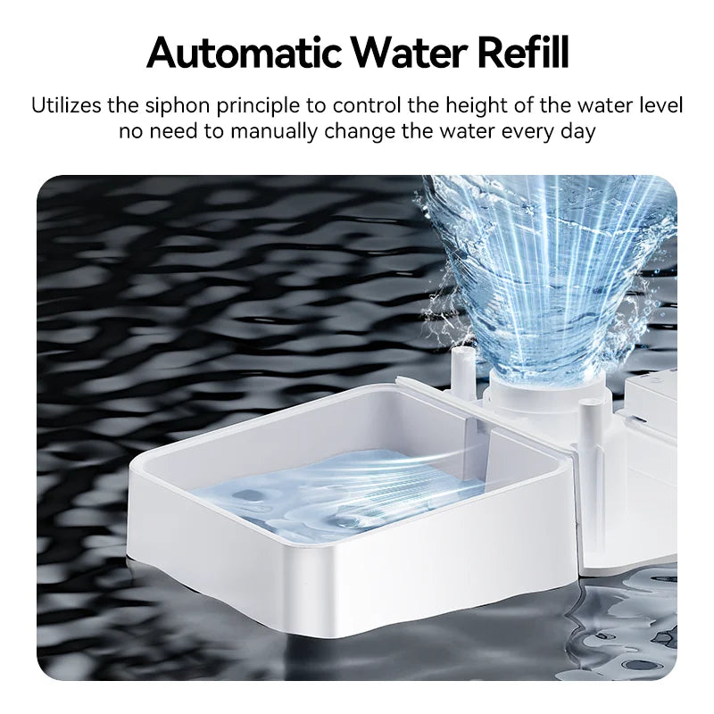 2 In1 Automatic Pet Feeder & Gravity Water Fountain 8.5L Button Version Auto Cat Kibble Dispenser with Water Refill Drinker