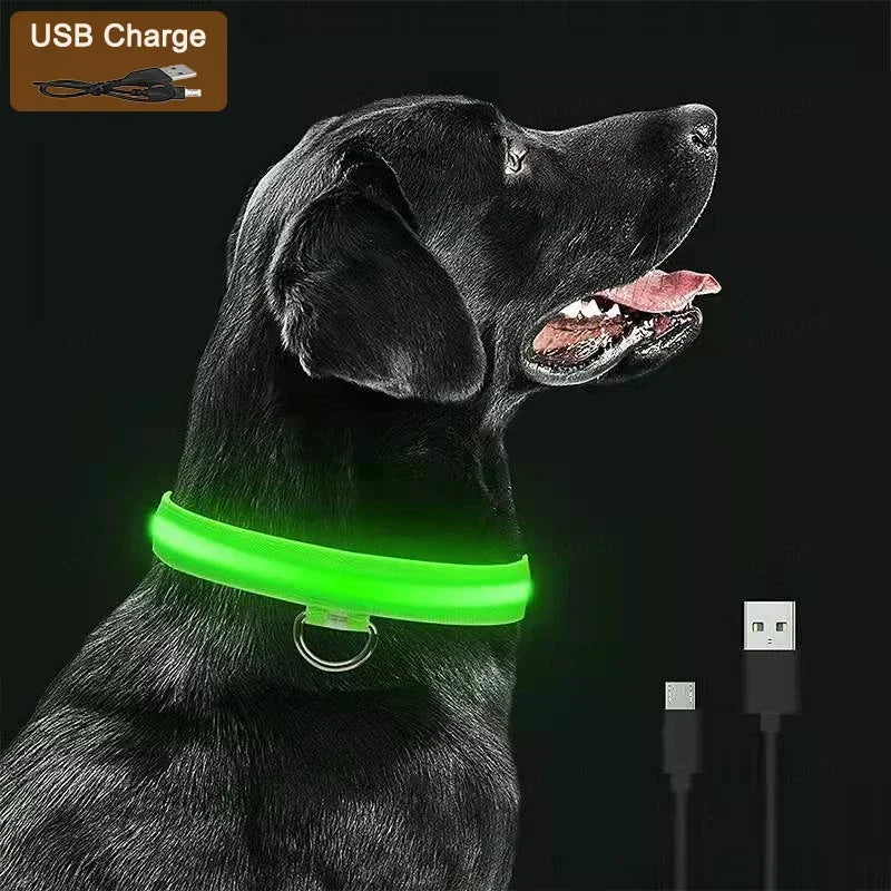 Dog Luminous Collar Cat Dogs  Night Led Glow