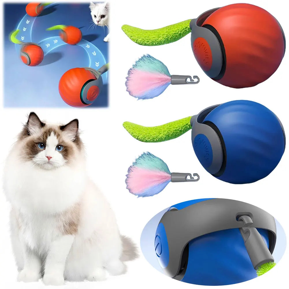 Smart interactive cat ball toy.