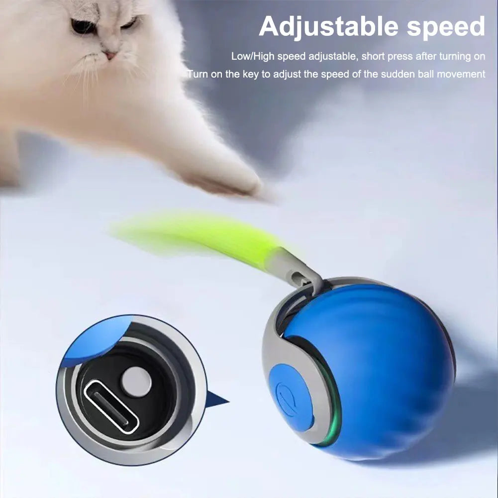 Smart interactive cat ball toy.