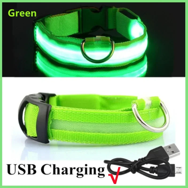 Dog Luminous Collar Cat Dogs  Night Led Glow