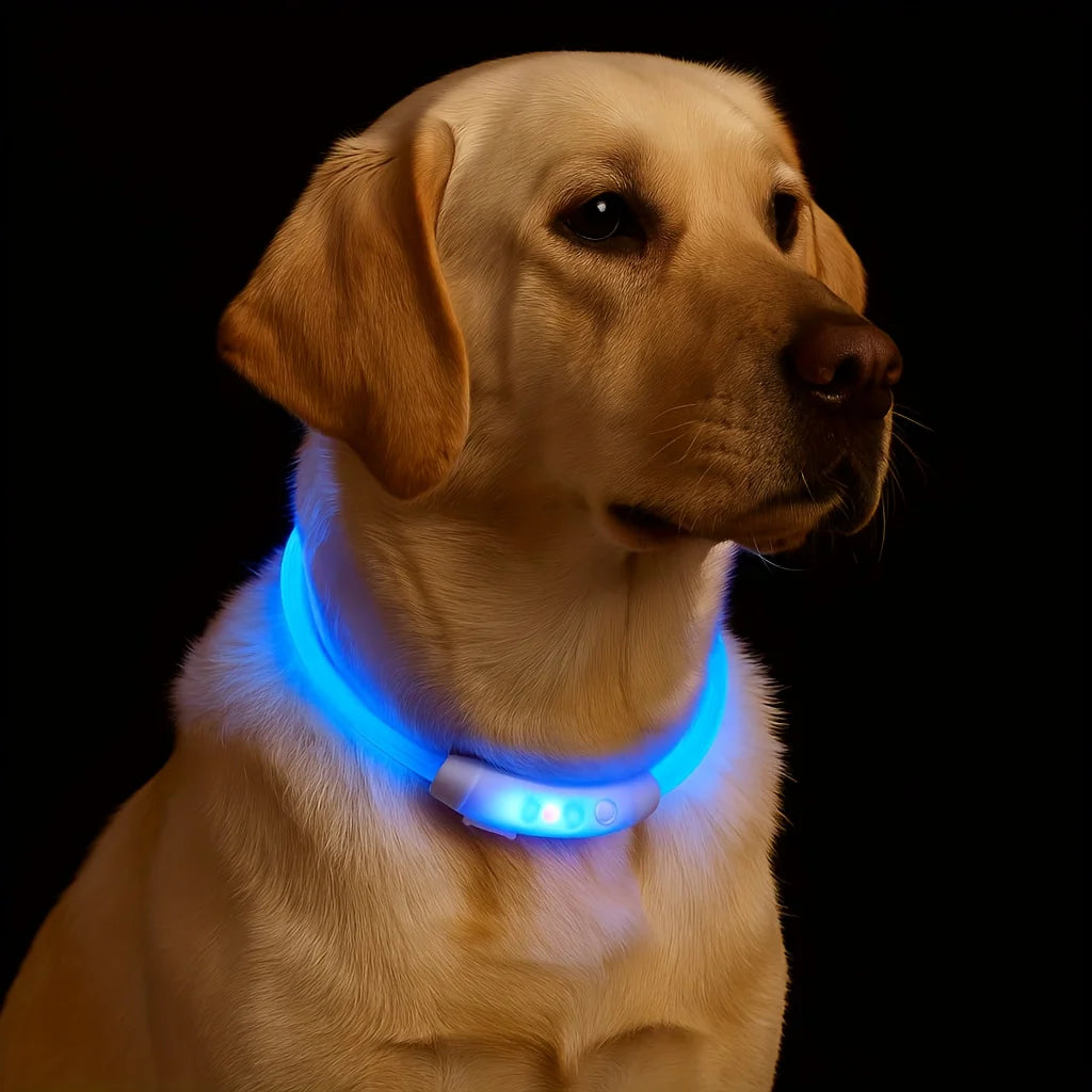 Safe Reflective LED Pet Collar, Glowing for Night Walkig.