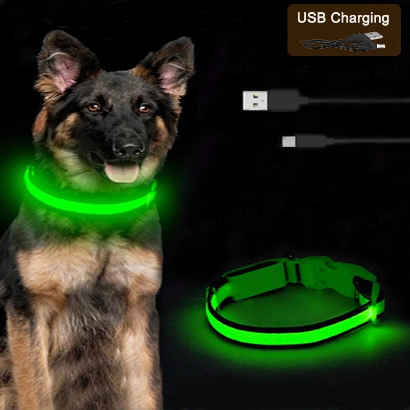 Dog Luminous Collar Cat Dogs  Night Led Glow