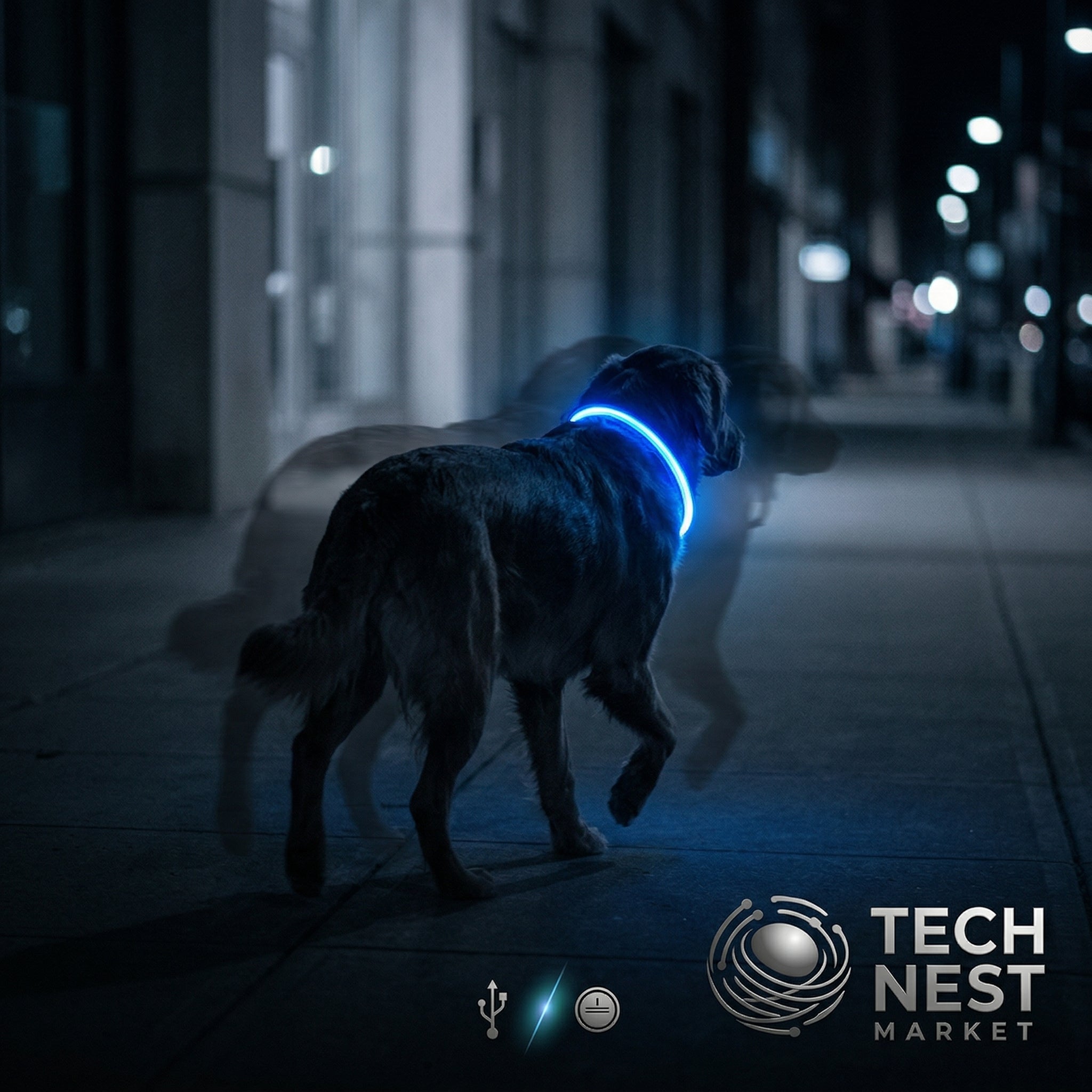 Dog Luminous Collar Cat Dogs  Night Led Glow