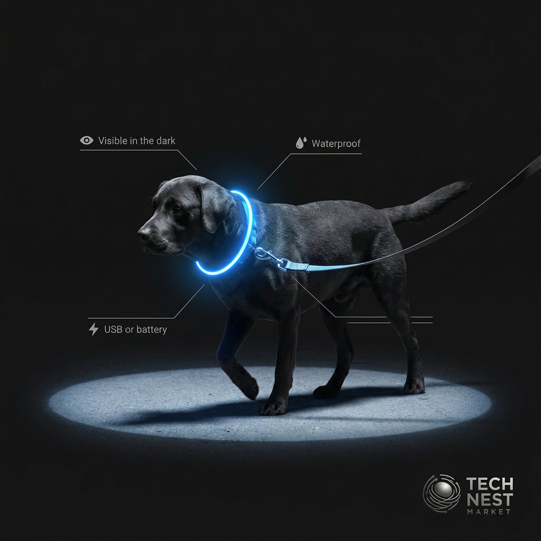 Dog Luminous Collar Cat Dogs  Night Led Glow