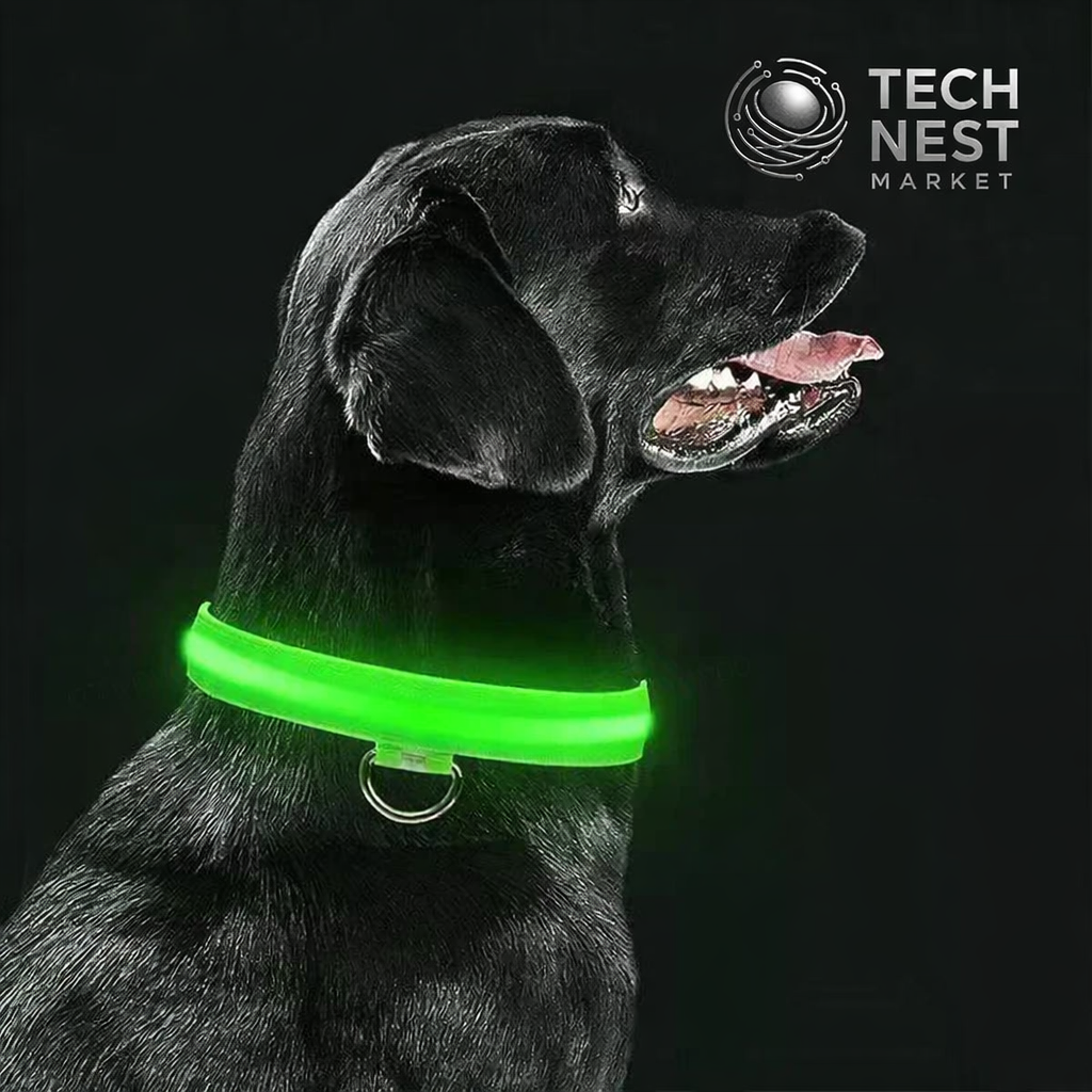 Dog Luminous Collar Cat Dogs  Night Led Glow