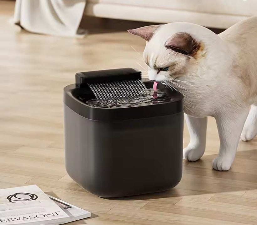 3L Pet Water Fountain with Pump & Filter Anti-Dry Burning